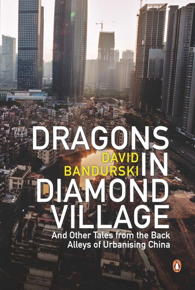 Dragons in Diamond Village And Other Tales from the Back Alleys of Urbanising China