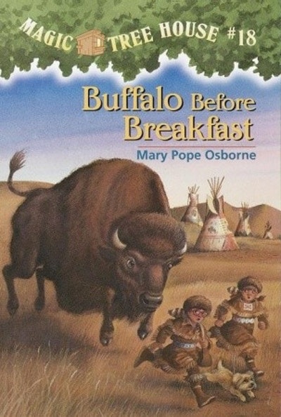 Buffalo Before Breakfast
