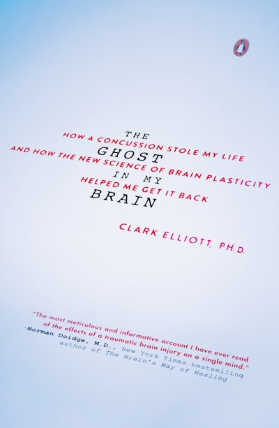 The Ghost in My Brain