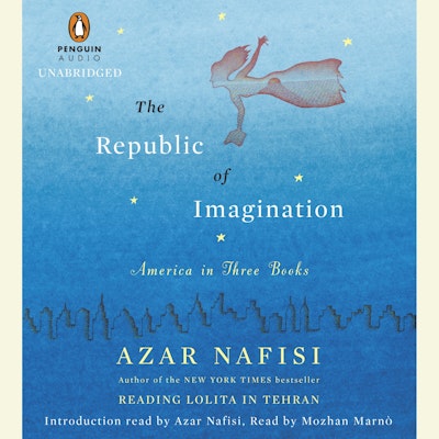 The Republic of Imagination