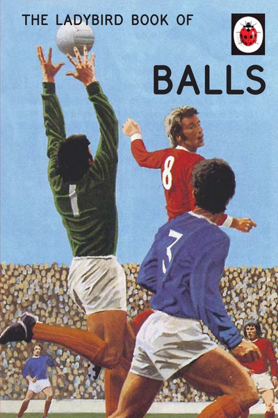 The Ladybird Book of Balls