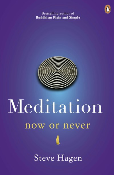 Meditation Now Or Never