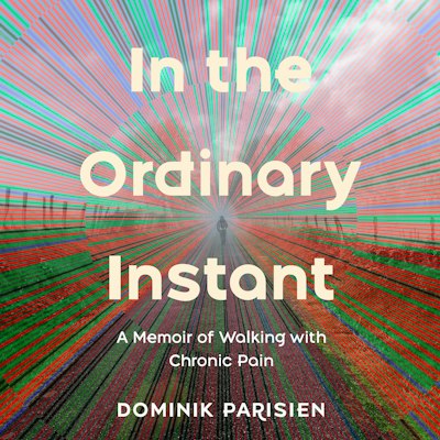 In the Ordinary Instant