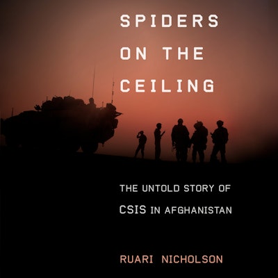 Spiders on the Ceiling