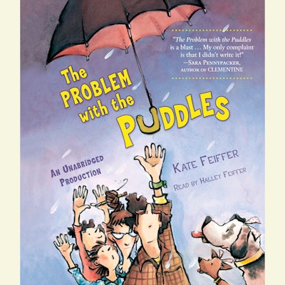 The Problem with the Puddles