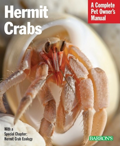 Hermit Crabs