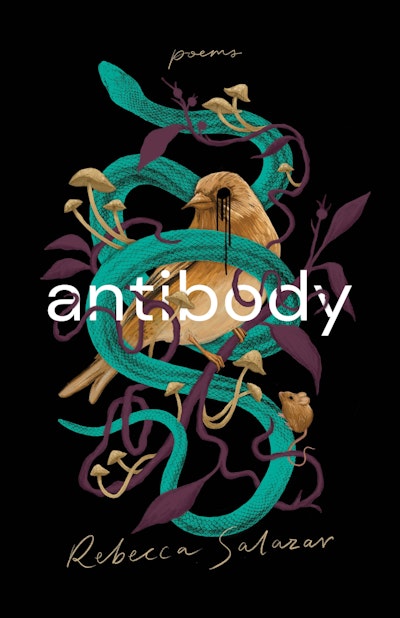 antibody