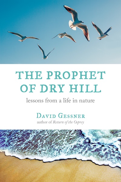 The Prophet of Dry Hill