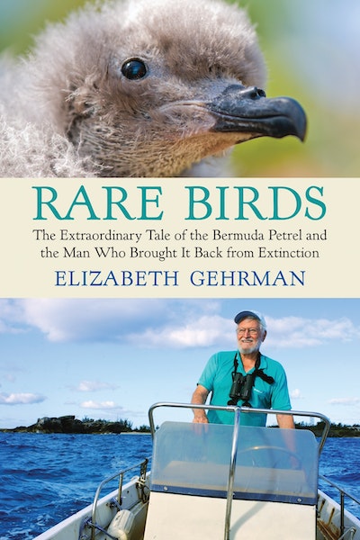 Rare Birds