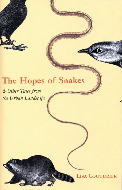 The Hopes Of Snakes