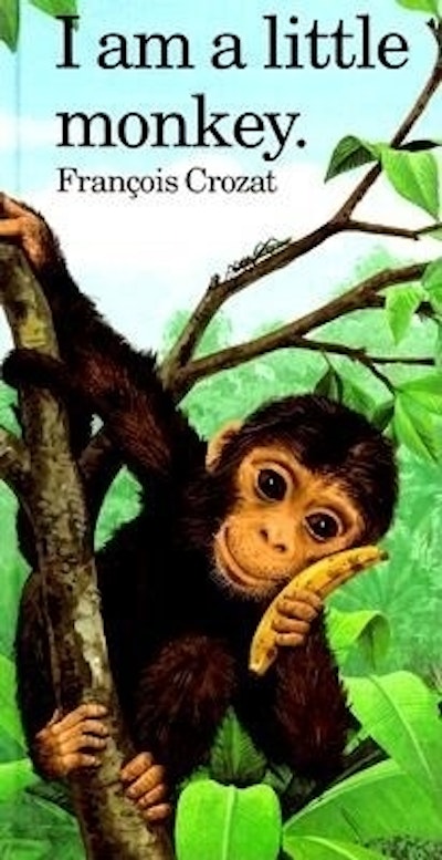 I Am a Little Monkey