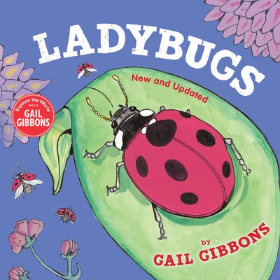 Ladybugs (New and Updated)