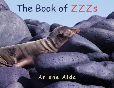 The Book Of Zzzs