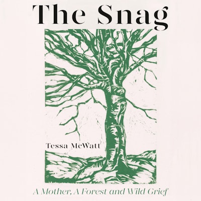 The Snag