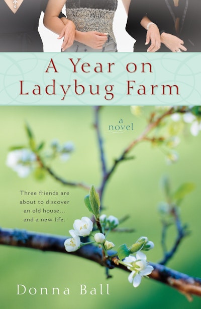 A Year on Ladybug Farm