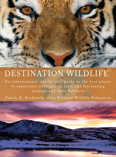 Destination Wildlife