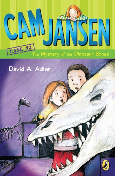Cam Jansen: Cam Jansen and the Sports Day Mysteries