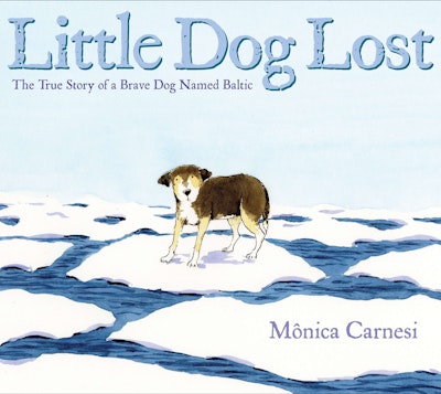 Little Dog Lost