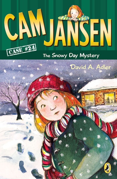 Cam Jansen: Cam Jansen and the Sports Day Mysteries