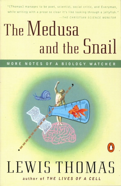 The Medusa and the Snail