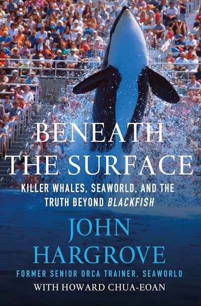 Beneath the Surface