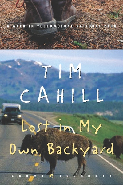 Lost In My Own Backyard