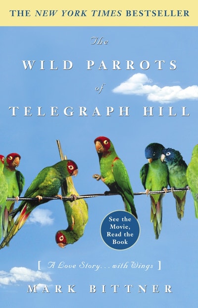 The Wild Parrots Of Telegraph Hill
