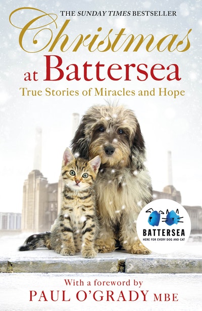 Christmas at Battersea: True Stories of Miracles and Hope