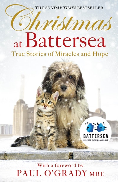 Christmas At Battersea: True Stories Of Miracles And Hope