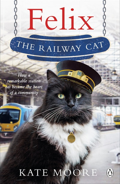 Felix The Railway Cat