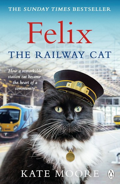 Felix The Railway Cat