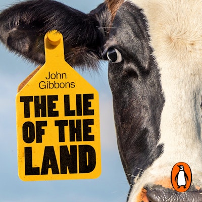 The Lie of the Land