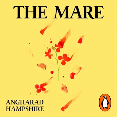 The Mare