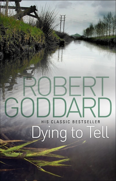 Past Caring by Robert Goddard