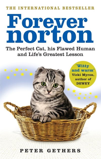 Forever Norton