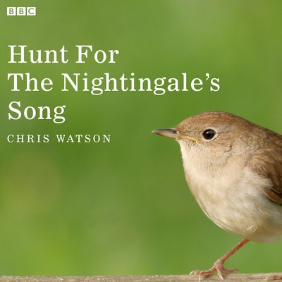 Hunt For The Nightingale's Song