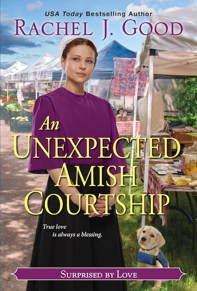 An Unexpected Amish Courtship