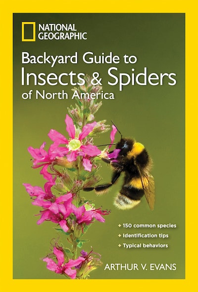 National Geographic Backyard Guide To Insects And Spiders Of North America