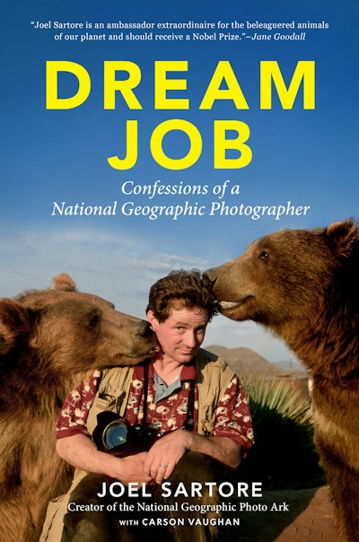 Dream Job