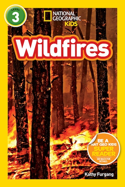 National Geographic Readers: Wildfires