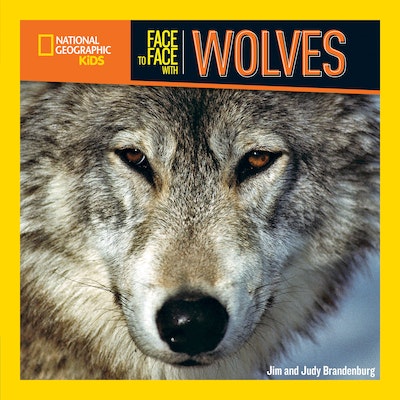 Face to Face with Wolves by Jim Brandenburg - Penguin Books New Zealand