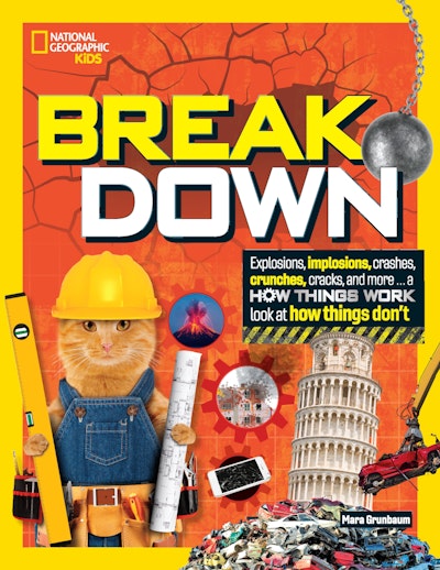 Break Down by Mara Grunbaum - Penguin Books Australia