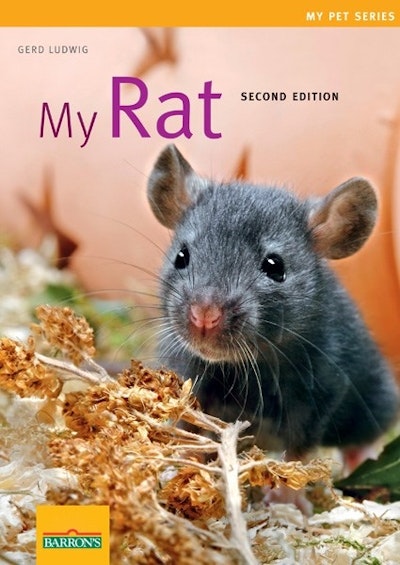 My Rat, 2E
