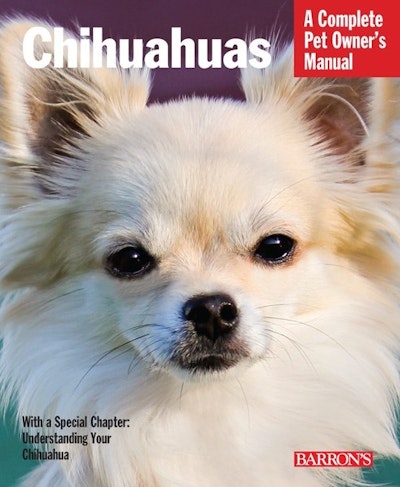 Chihuahuas