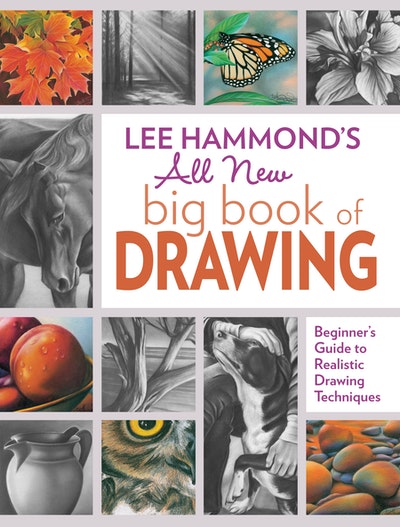Lee Hammond's Big Book of Acrylic Painting by Lee Hammond - Penguin Books  Australia