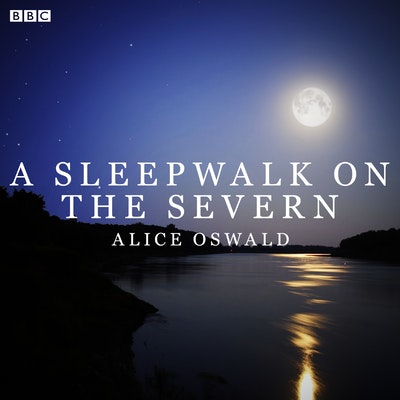 A Sleepwalk On The Severn