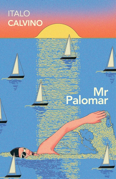 Mr Palomar