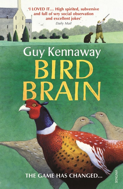 Bird Brain