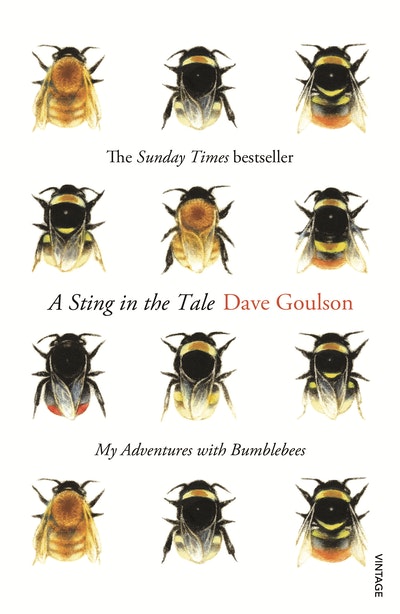 Bee Quest by Dave Goulson - Penguin Books New Zealand