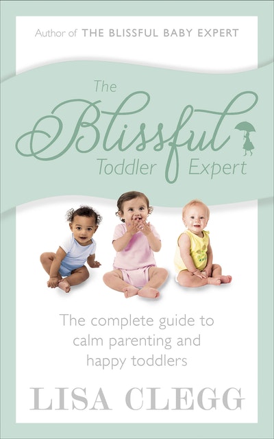 The Blissful Toddler Expert